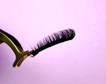 Load image into Gallery viewer, EXTENSIONS COLLECTION BUNDLE