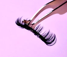 Load image into Gallery viewer, EXTENSIONS COLLECTION BUNDLE