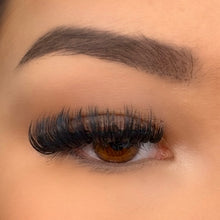 Load image into Gallery viewer, DIVA